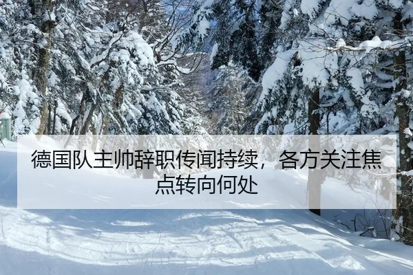德国队主帅辞职传闻持续，各方关注焦点转向何处
